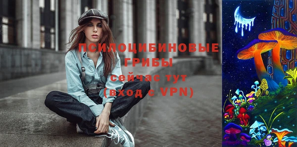 Альфа ПВП Аркадак
